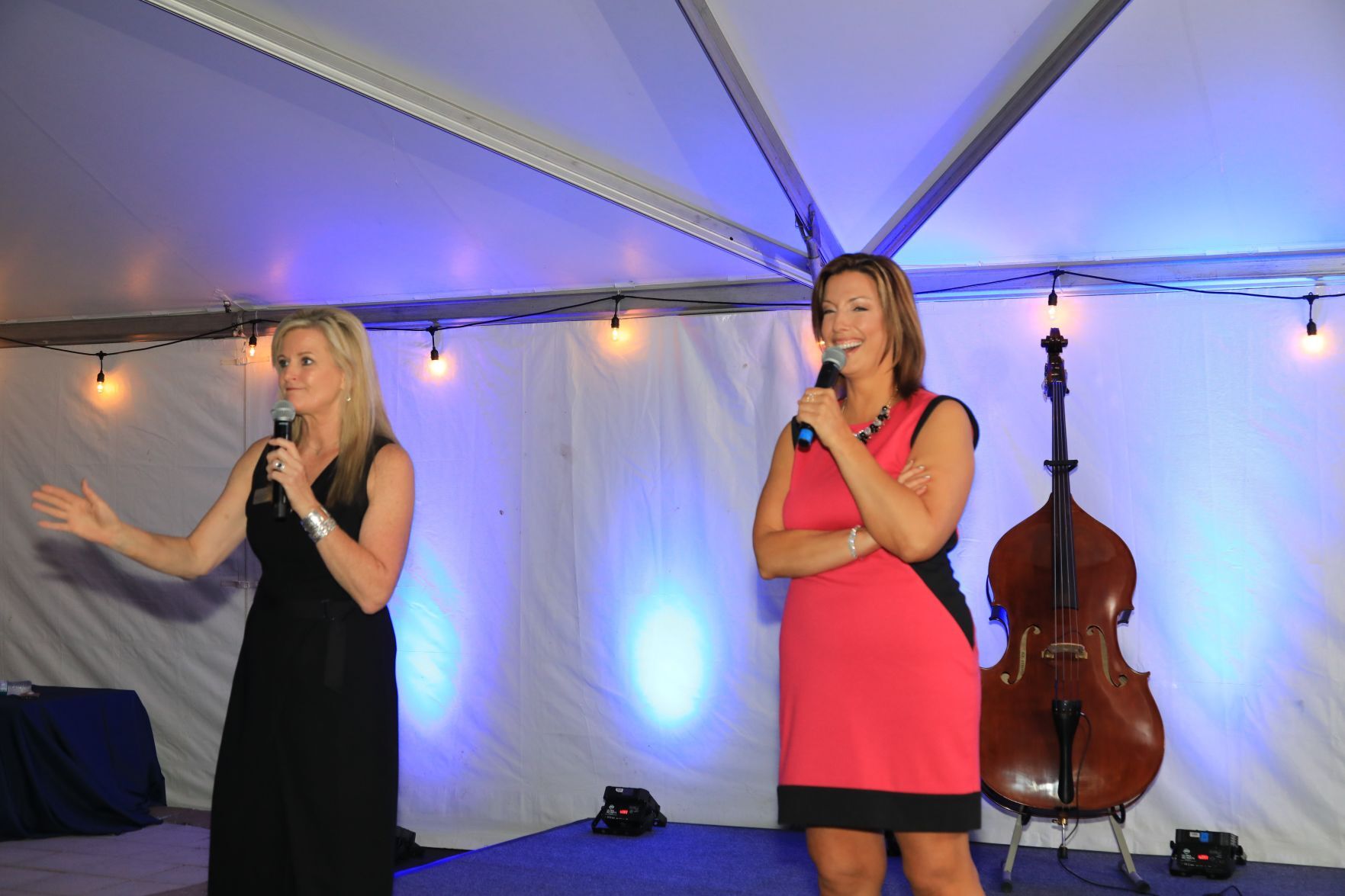 Auctioneer, Shannon Mays, Emcee, Julie Tristan